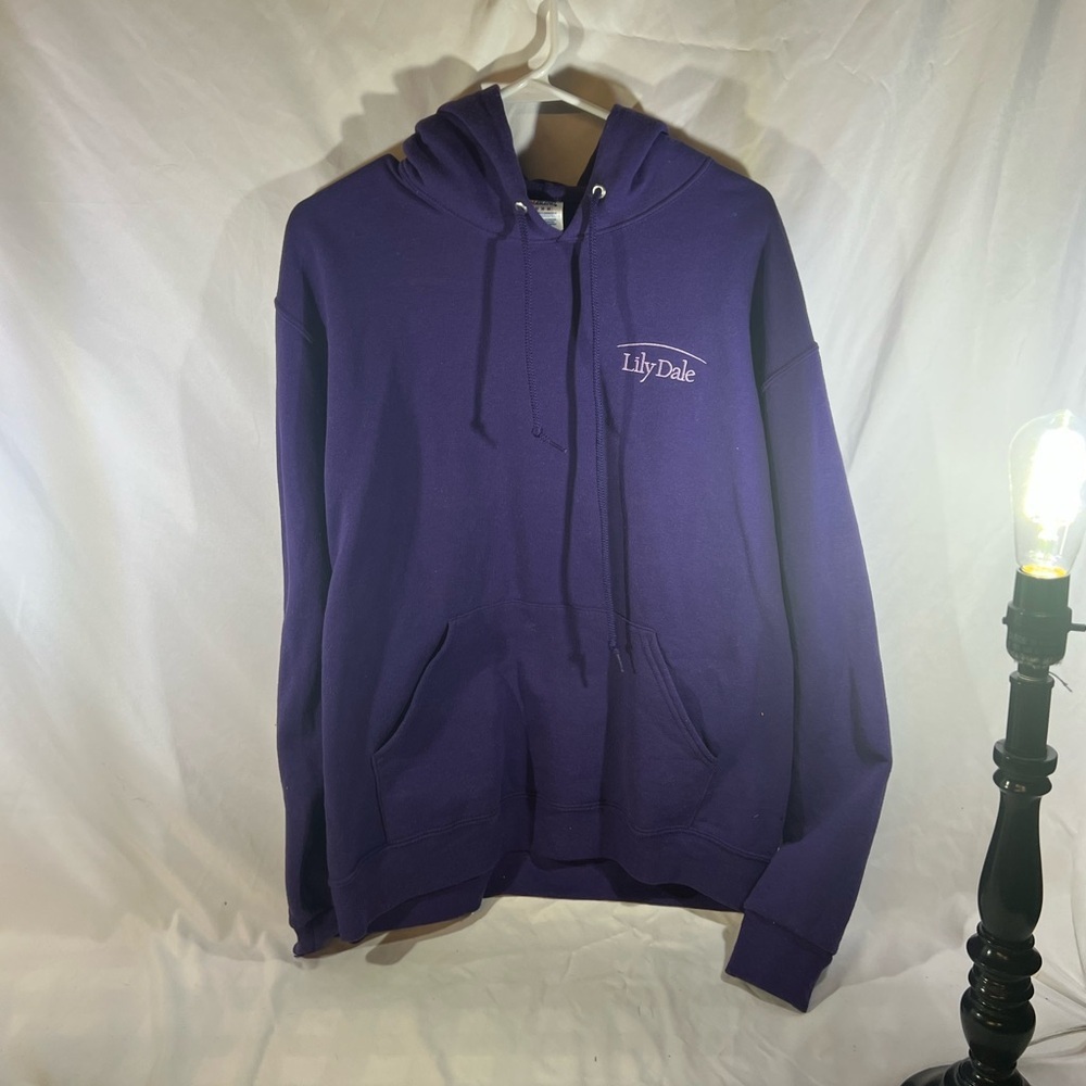 Jerzees Deep Purple Men's Hoodie